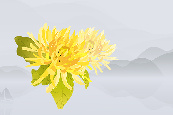 ʲô���ʺ������ �����ʺϺ�ʲô��